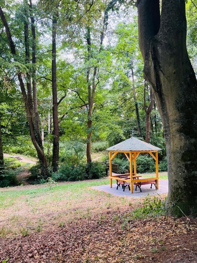 Casa Inn Parkview: Versatile Stay for All Occasions Limburg an der Lahn Exterior photo